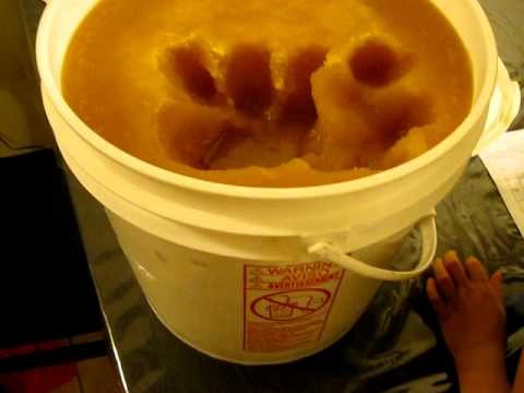  Nutrients In Raw Honey Austin Acres Grand Junction CO